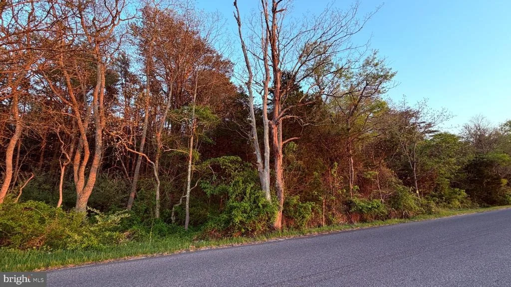 Photo of 0 W FACTORY ROAD