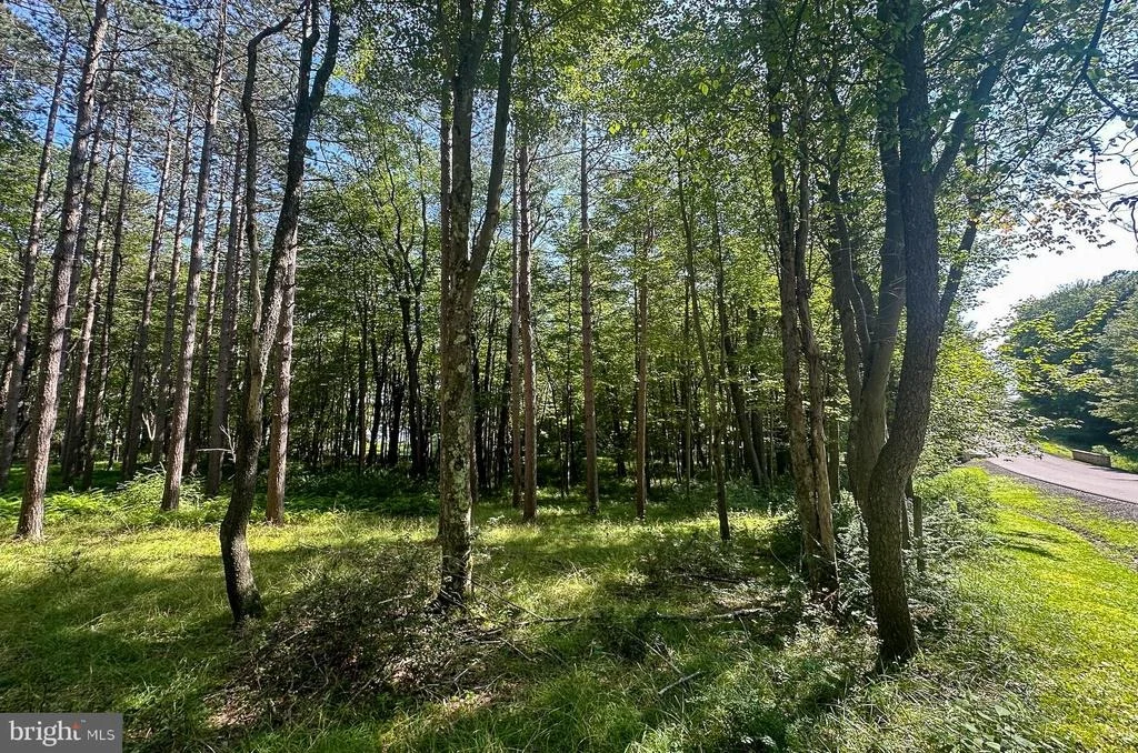 Photo of LOT 25 HOLY CROSS DRIVE