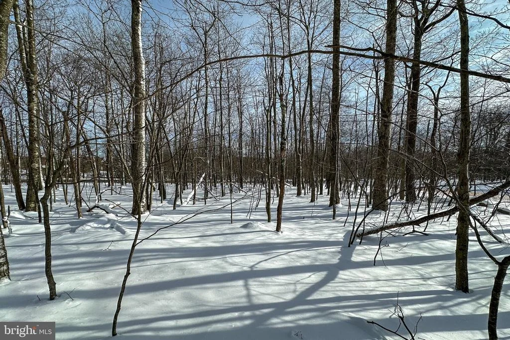 Photo of Lot 100 SNOWHAVEN LANE