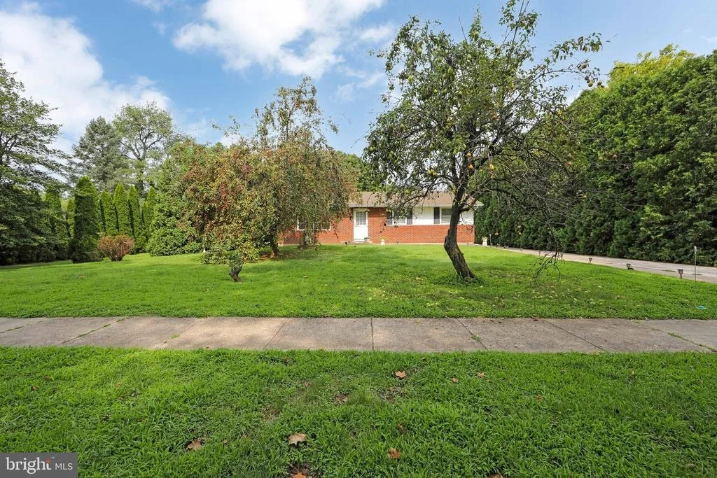 Photo of 313 KINGS HIGHWAY