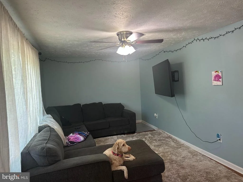 Photo of 440 BLUEBIRD WAY