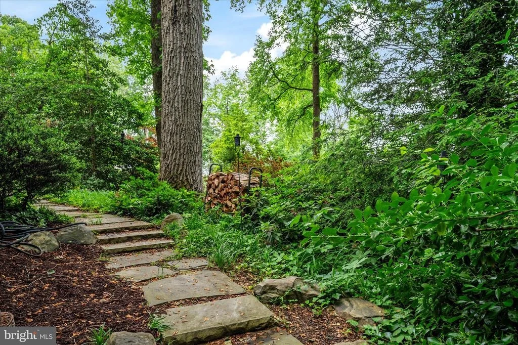 Photo of 934 N FOREST TRAIL