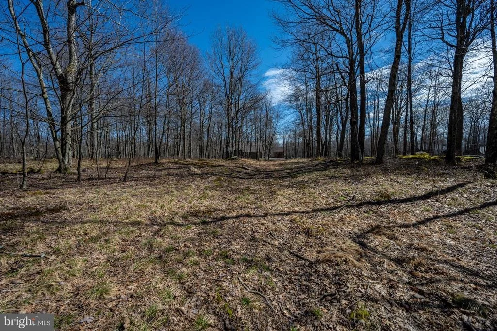 Photo of 36 FERN LOOP