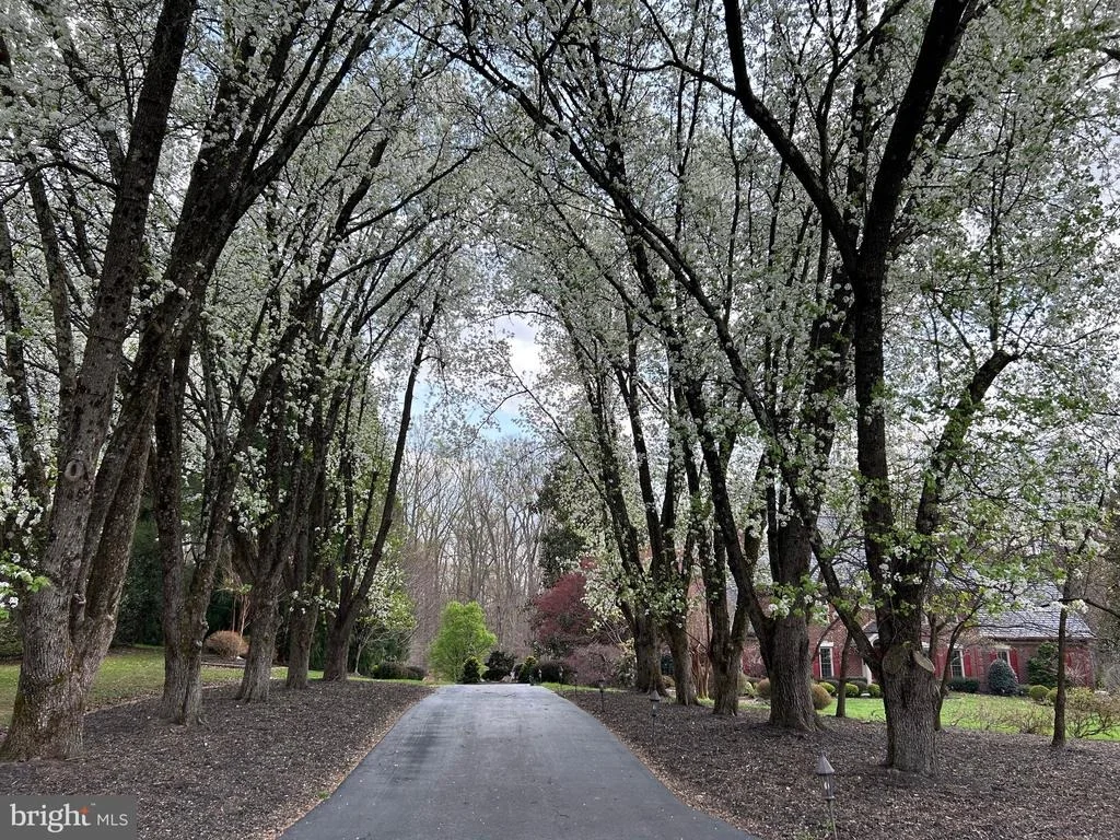 Photo of 10105 WALKER LAKE DRIVE