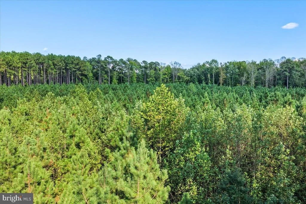 Photo of Lot 7 & 8 COUNTY POND ROAD