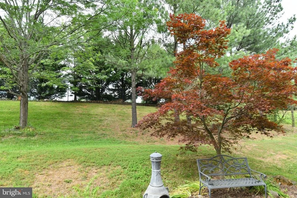 Photo of 14344 SHARPSHINNED DRIVE