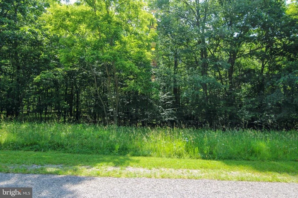 Photo of 80 SUNDANCE WAY