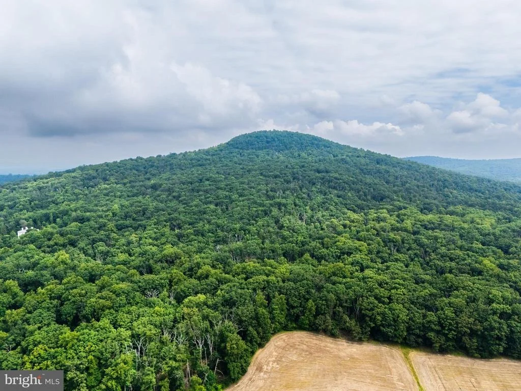 Photo of 1137 SUGARLOAF MOUNTAIN ROAD