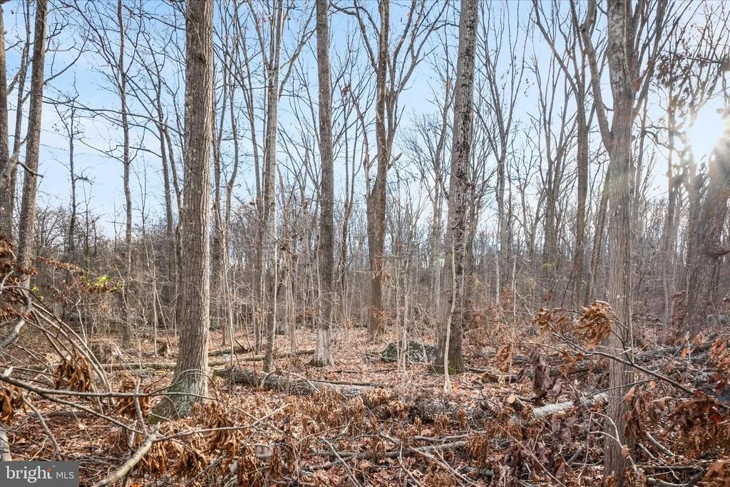 Photo of Lots 115, 116, 210 RED MAPLE LANE