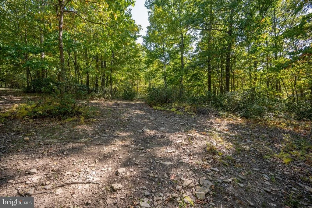 Photo of LOT 9 NORMAS WAY