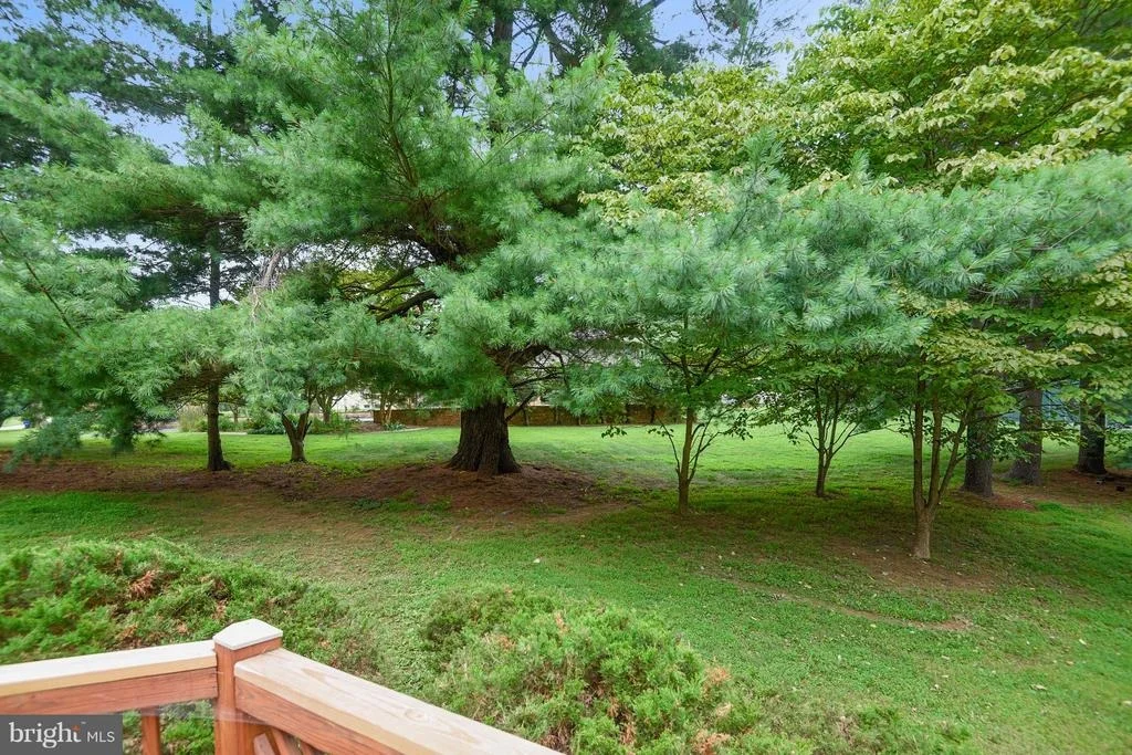 Photo of 15516 NORMAN DRIVE