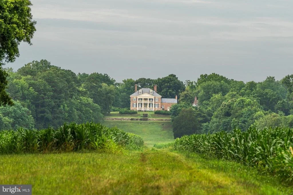Photo of 19700 MULBERRY FIELDS ROAD
