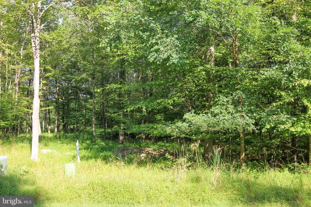 Photo of LOT 33 WINDING ESTATES DR