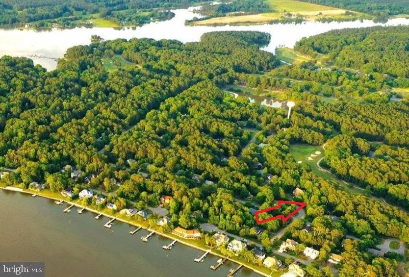 Photo of 11235 ANNABELLE DRIVE