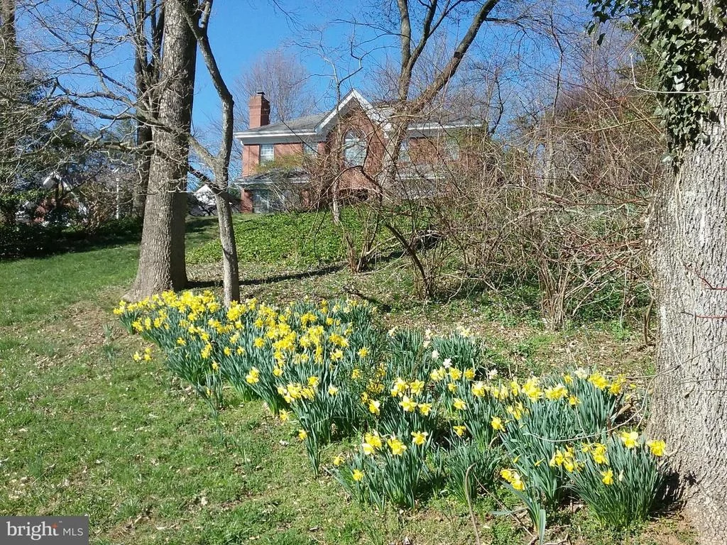 Photo of 2 FARRON DRIVE