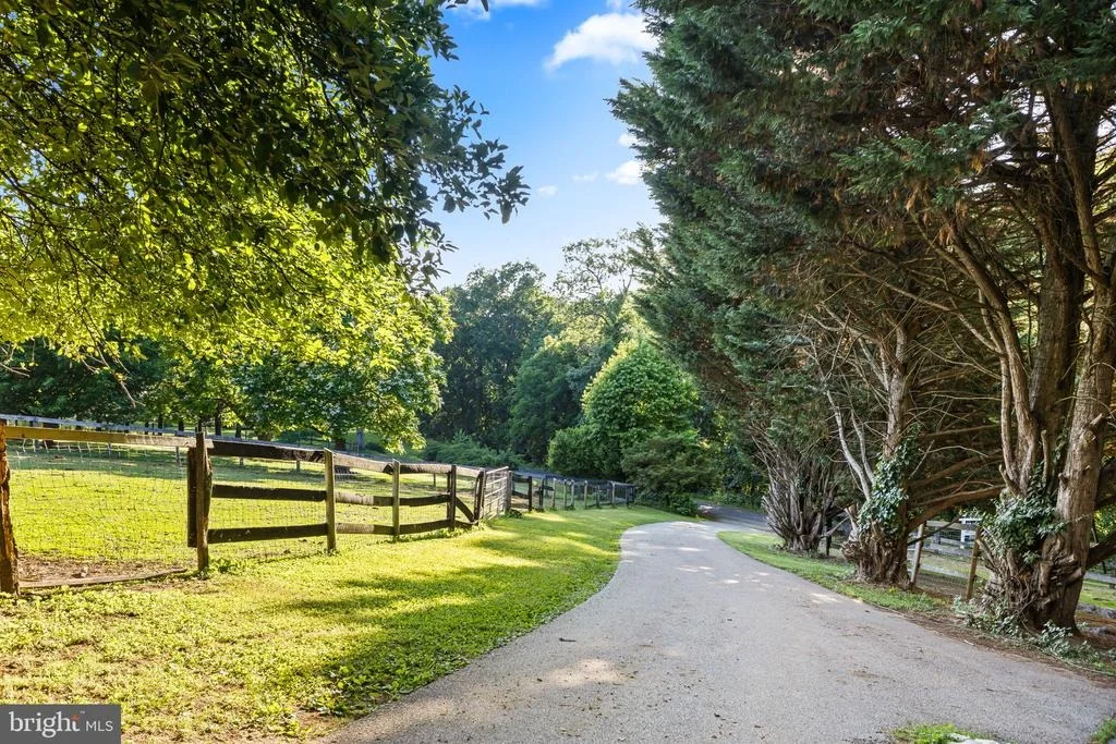 Photo of 2475 MOUNT VENTUS #2 ROAD