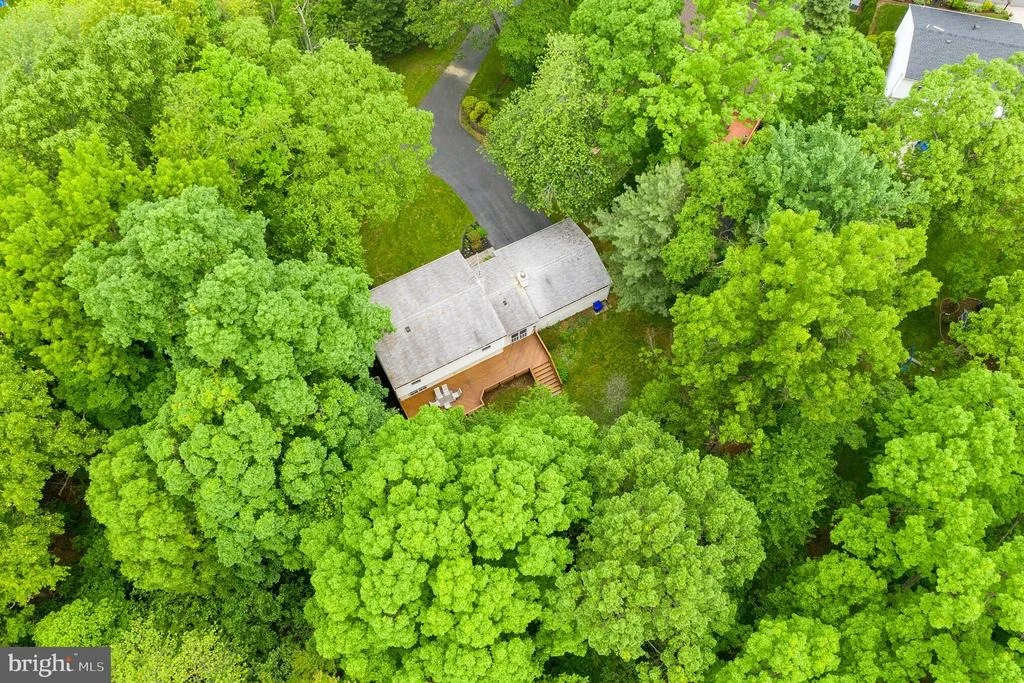 Photo of 8924 ROUNDLEAF WAY