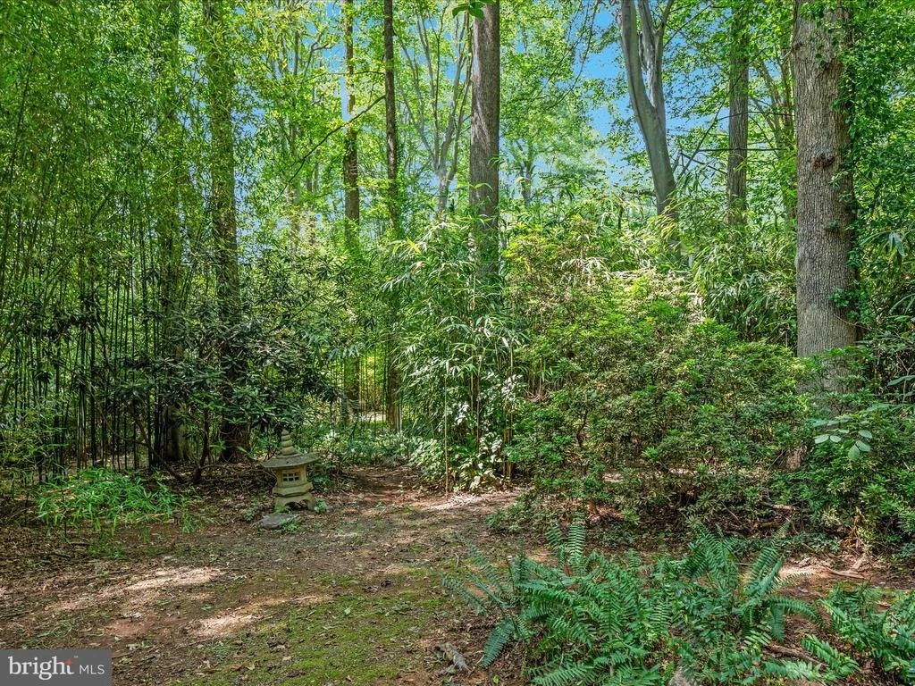 Photo of 13209 JOHNNY MOORE LANE