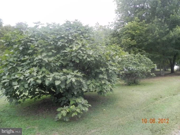 Photo of 10565 LIMMERICK DRIVE