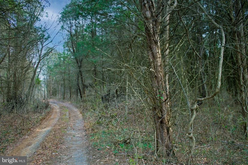 Photo of 8045 AVIS MILL ROAD