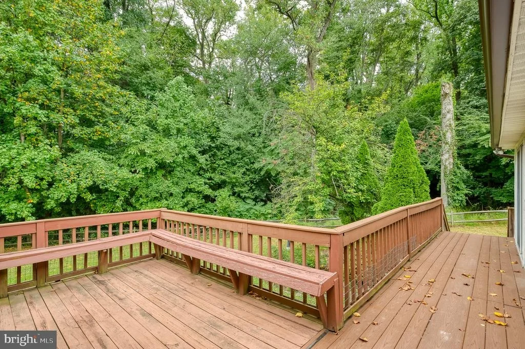 Photo of 12 JACOBO LANE