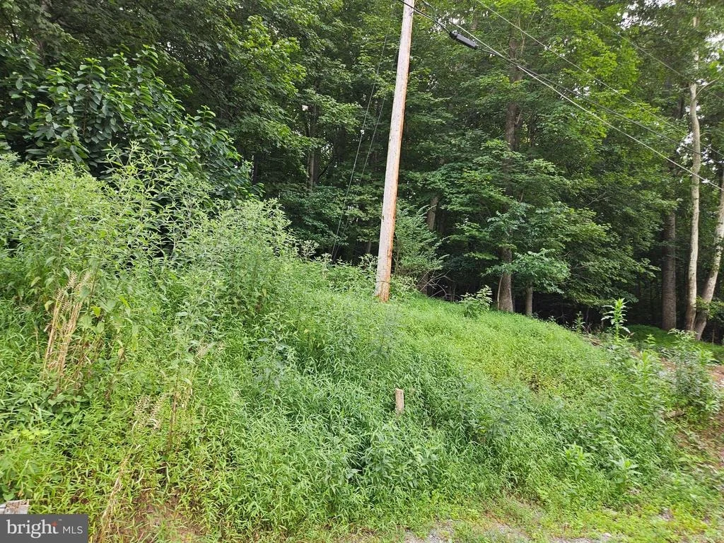 Photo of Block 78 Lot 3 PARK BLVD