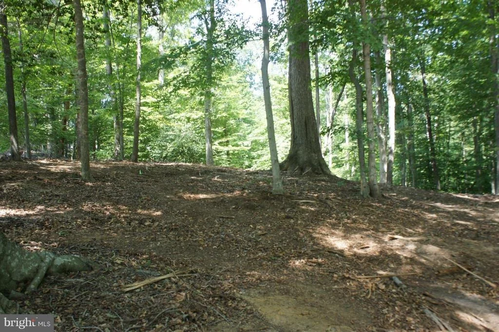 Photo of 426 COMSTOCK DRIVE