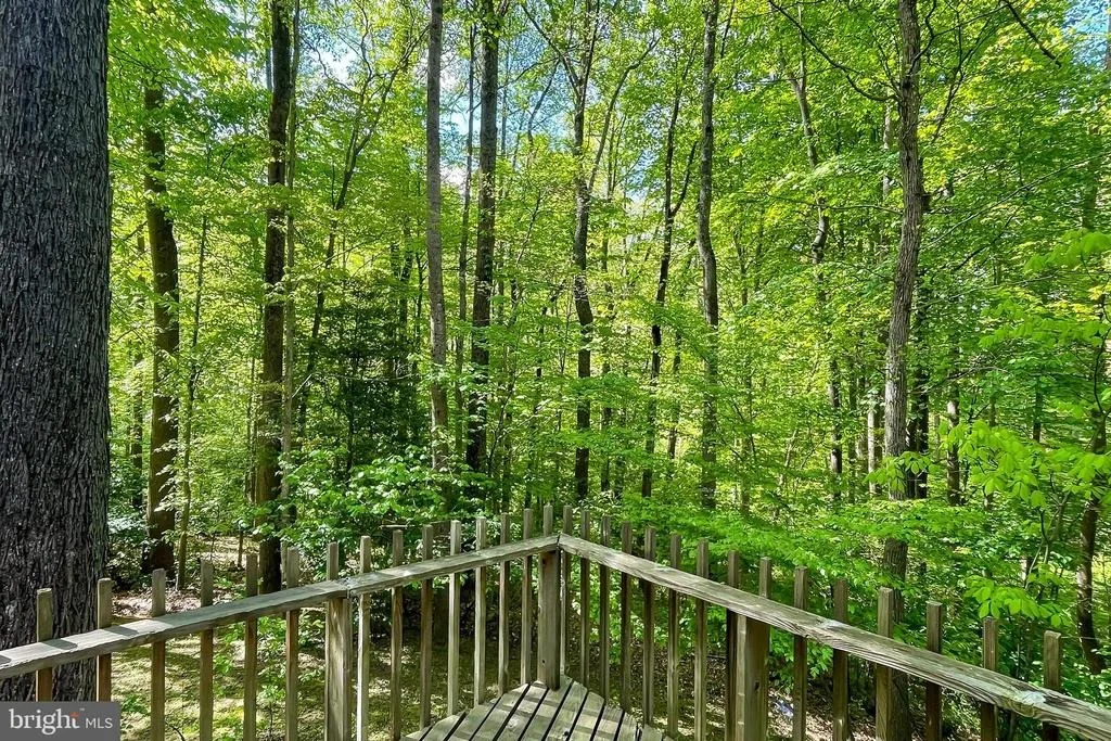 Photo of 8621 TEBBS LANE