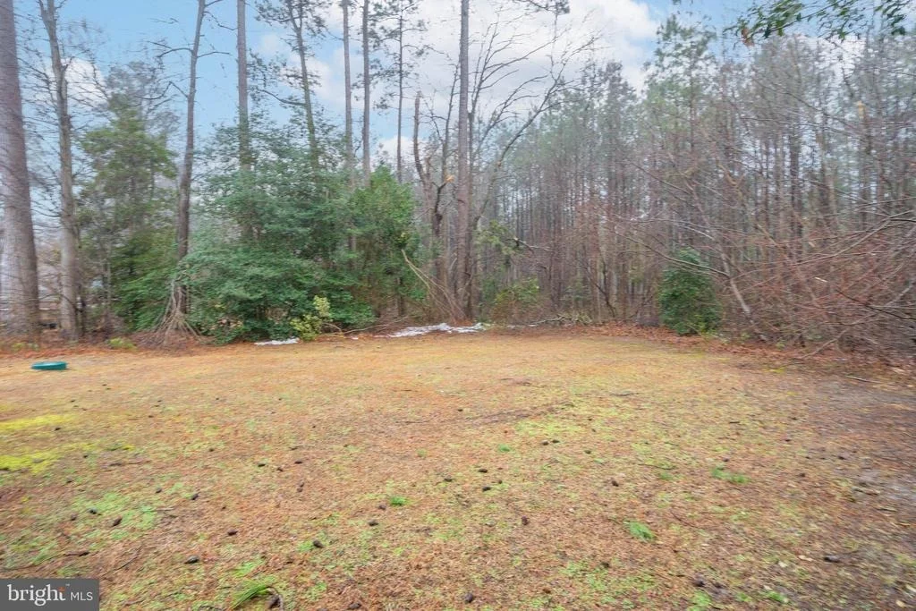 Photo of 18284 SHINGLE POINT ROAD
