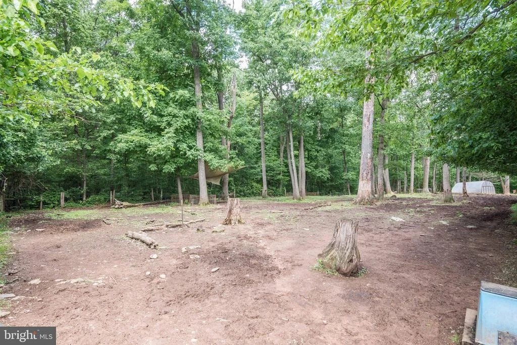 Photo of 16120 BARNESVILLE ROAD