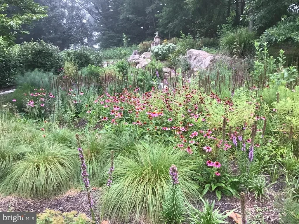 Photo of 3850 COBBLER MOUNTAIN ROAD