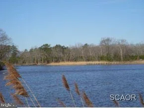 Photo of 37366 WOODS RUN CIRCLE