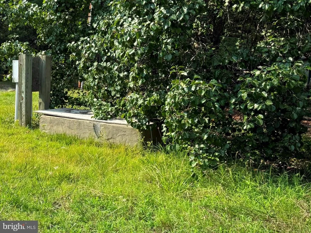 Photo of 12516 OLIVET ROAD