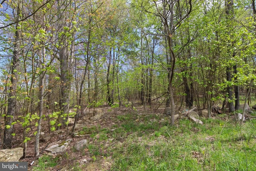 Photo of Lot 62 CAMP CIRCLE