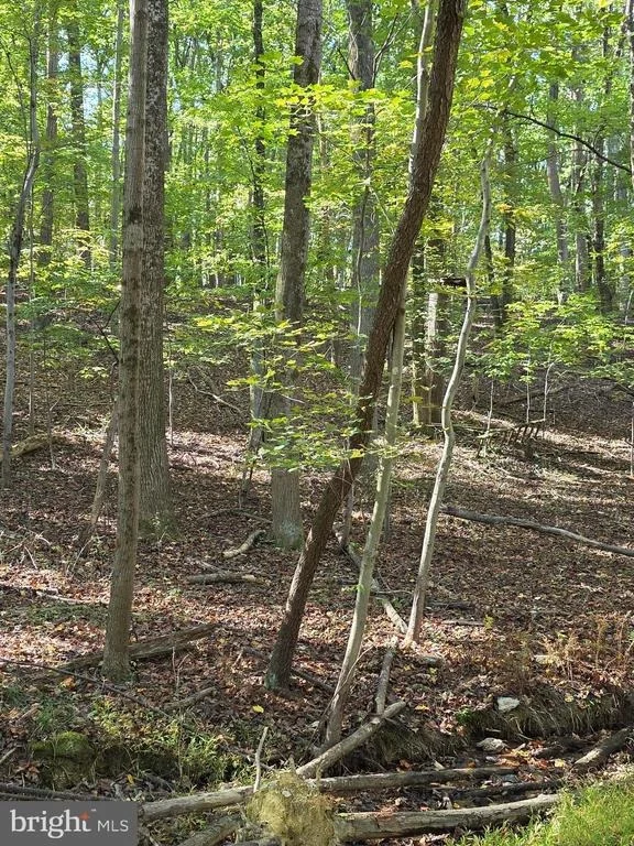Photo of 3816 JIM SMITH LANE