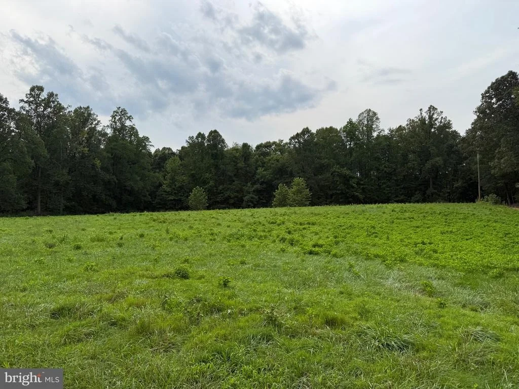 Photo of 5605 FREDDY PLACE