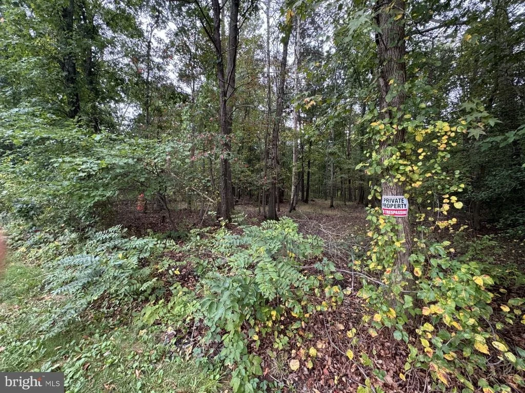 Photo of 1635 WALL DRIVE