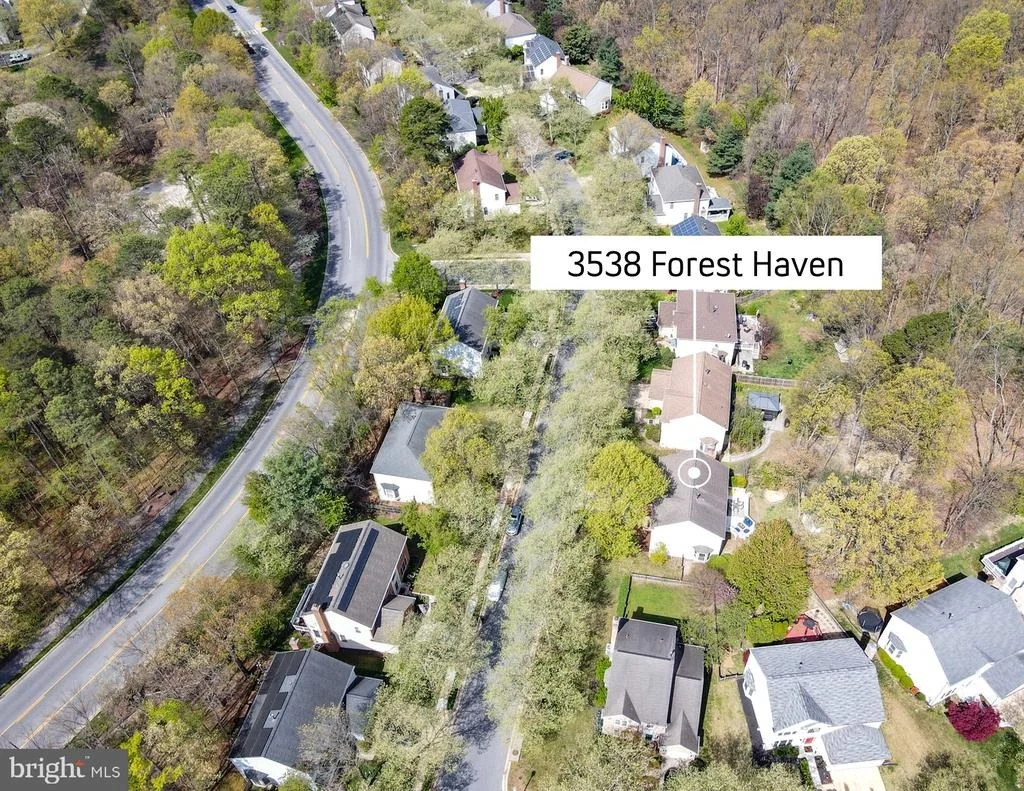 Photo of 3538 FOREST HAVEN DRIVE