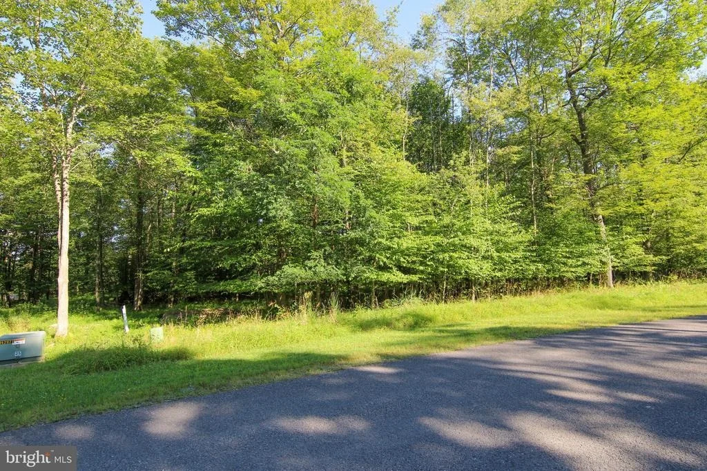 Photo of LOT 33 WINDING ESTATES DR