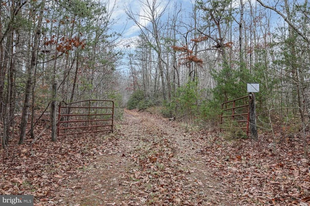 Photo of 13729 MARTIN ROAD