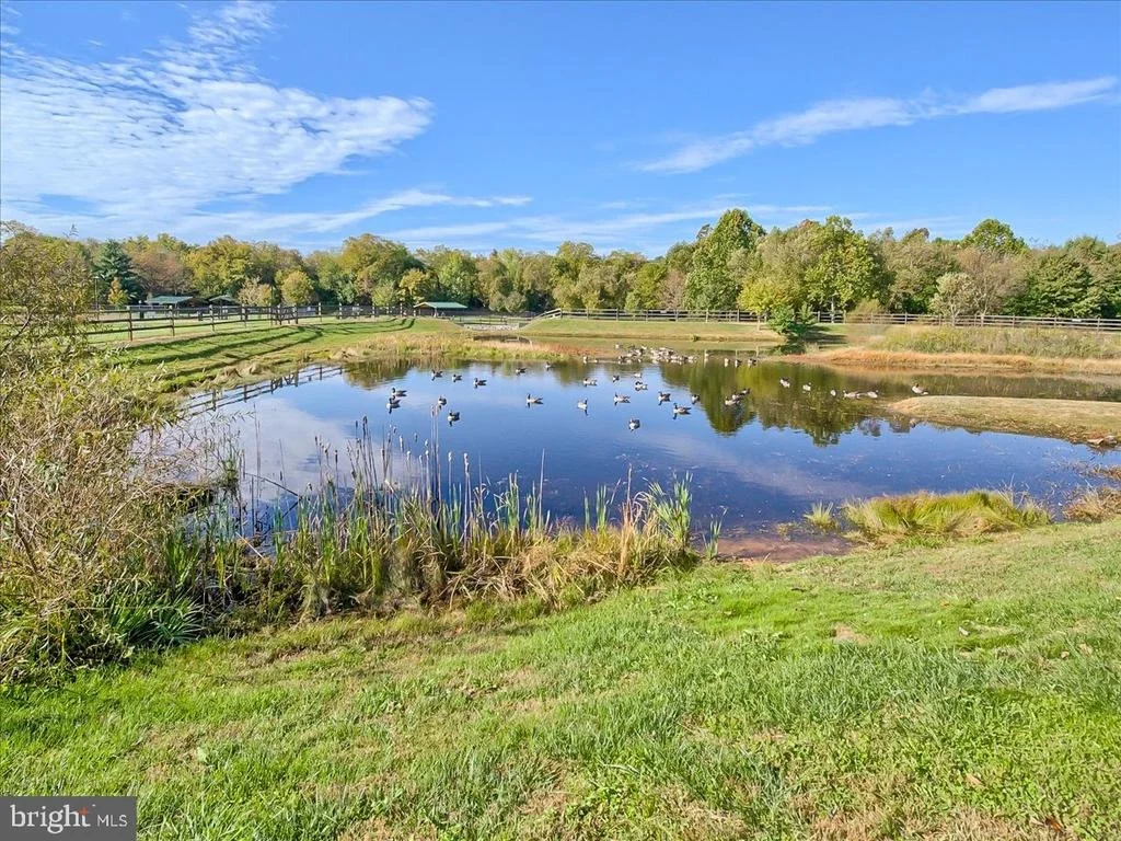Photo of 5211 CONTINENTAL DRIVE