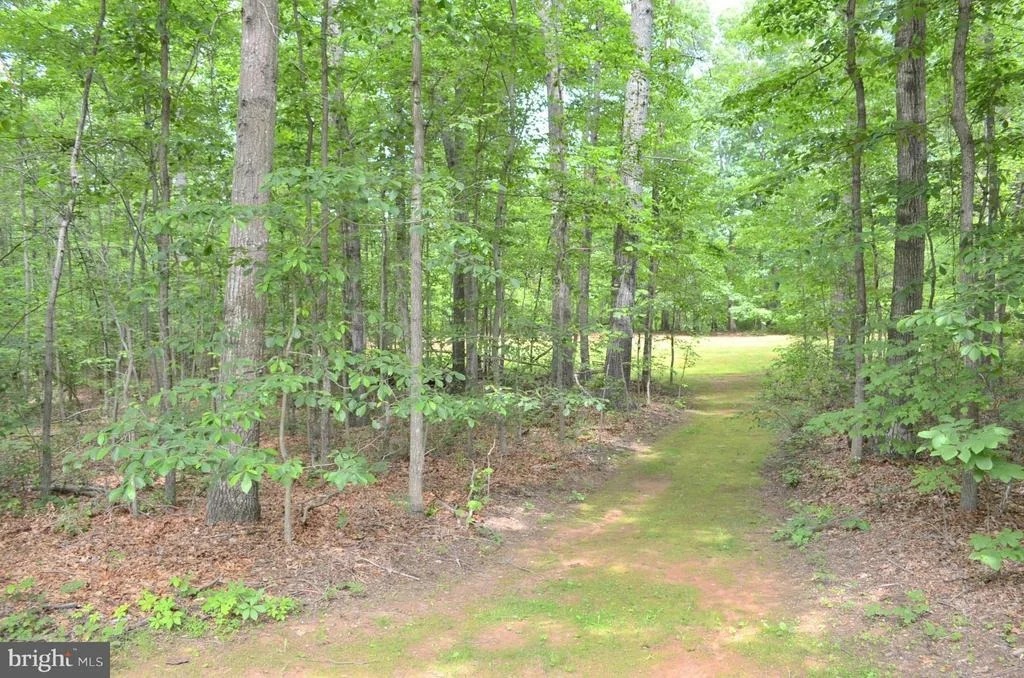 Photo of 7003 TAPPS FORD ROAD