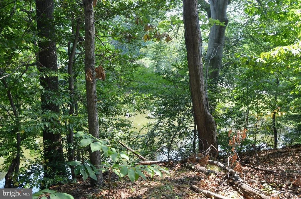 Photo of 11801 RIVERSHORE DRIVE