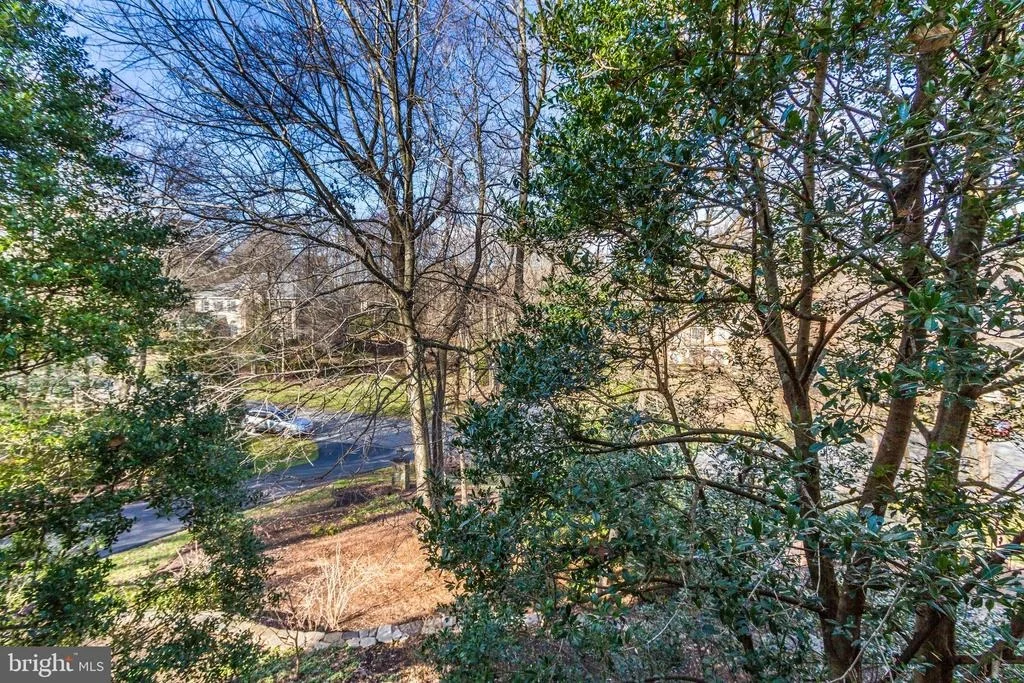 Photo of 12503 NATHANIEL OAKS DRIVE