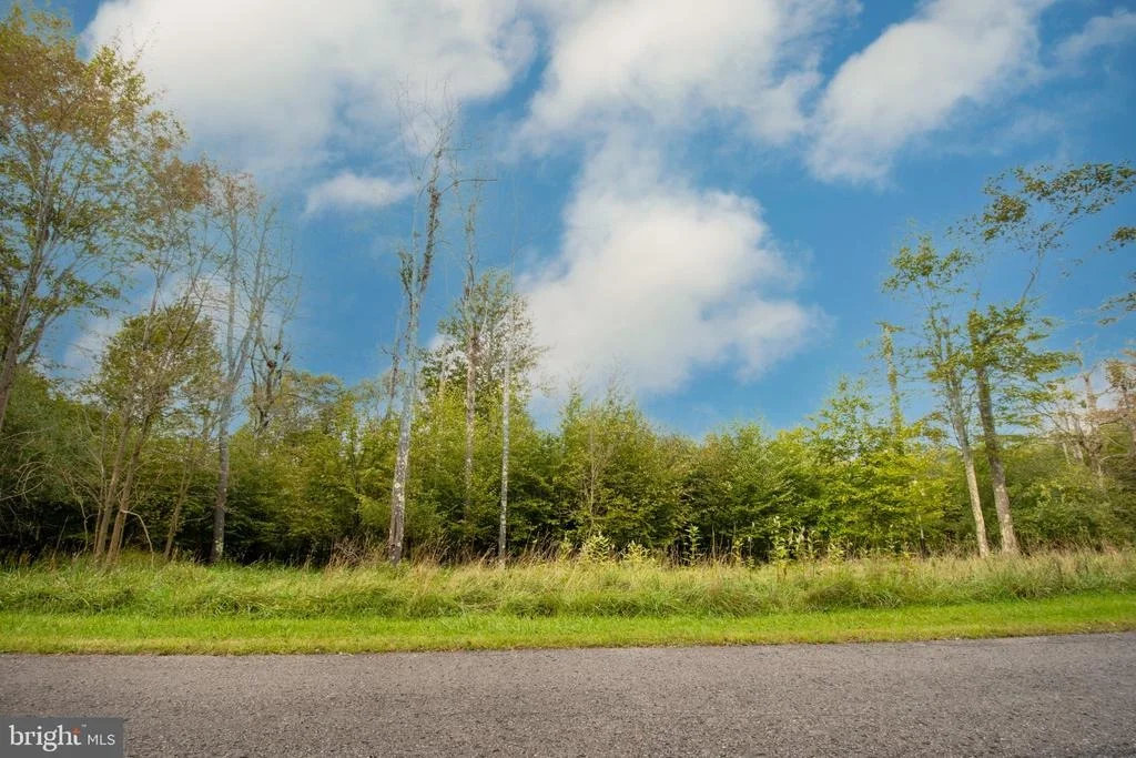 Photo of Lot 94 LOWER CAMP ROAD