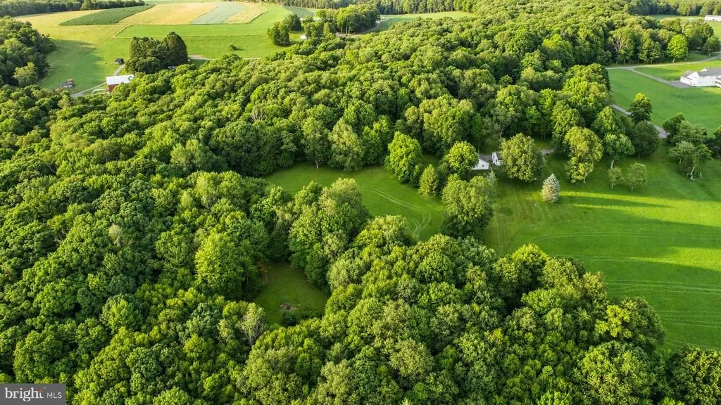 Photo of 680 MARLIN SAVAGE ROAD