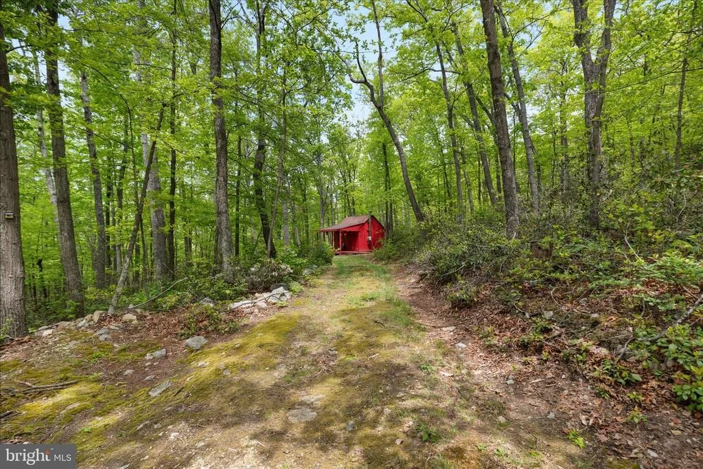 Photo of 551 SAWLOG
