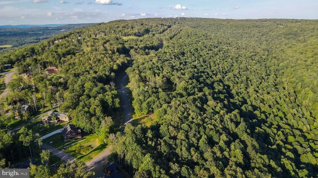 Photo of Lot 168 FORK RUN TRAIL