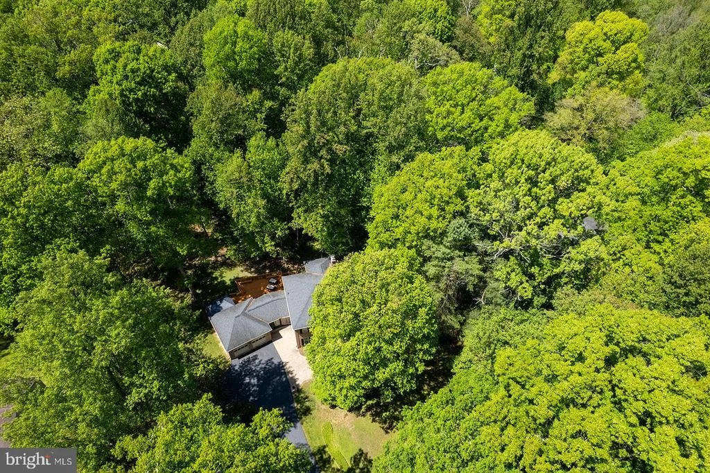 Photo of 11732 STUART MILL ROAD