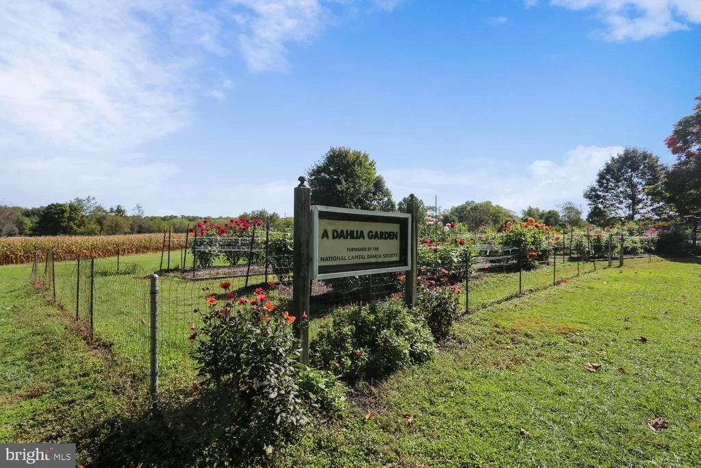 Photo of 205 TULIP DRIVE